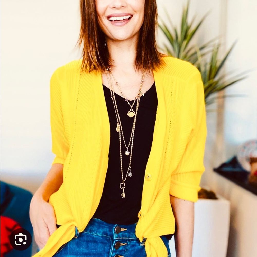 Cabi Sunny Sweater